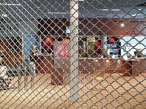 grilaje metalice Bucuresti